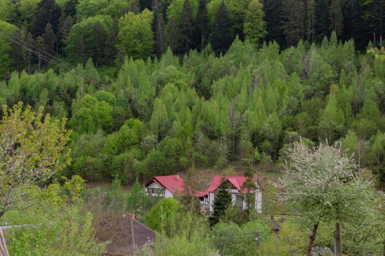 Kamyanka Vila Yaremche Exterior foto